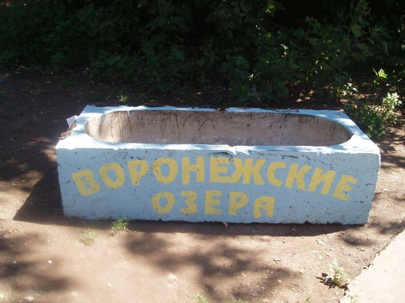 Яндекс-картинка.