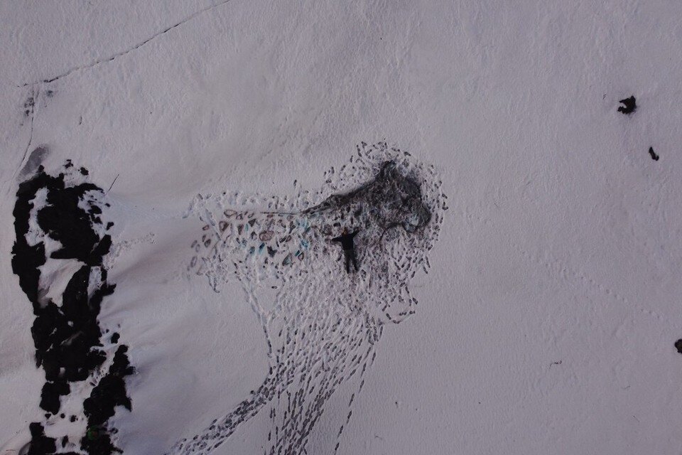    Насчёт того, что прожить такой работе суждено считанные дни художник не переживает из личного архива героя(ев) публикации