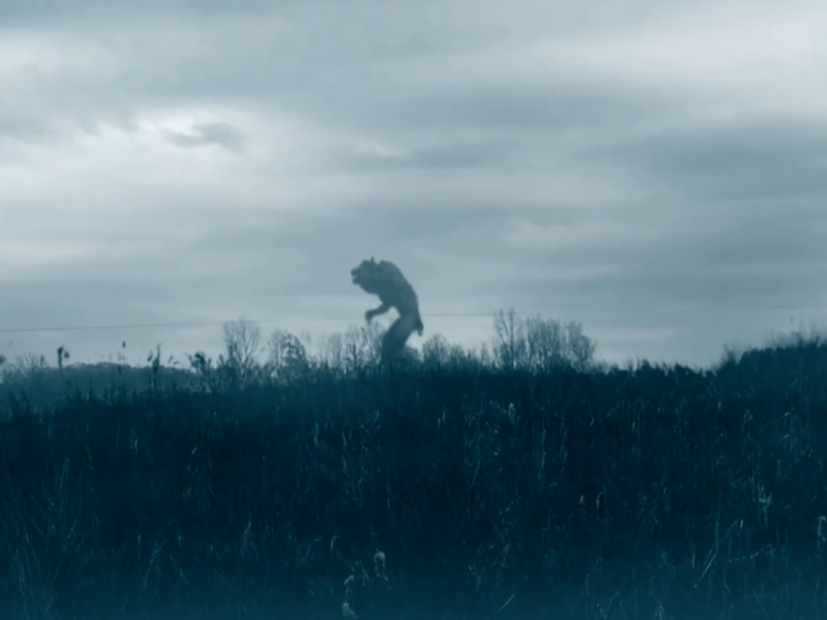 Кадр из фильма "Зверь из Брей-Роуд"© Small Town Monster (2018)