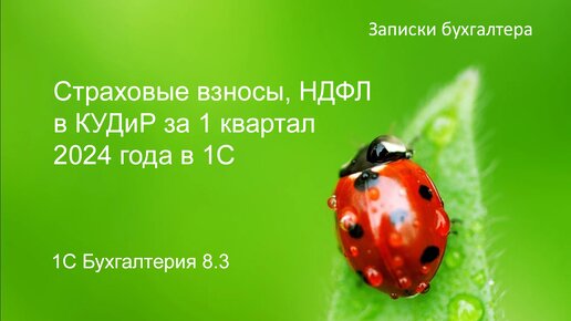 Страховые взносы, НДФЛ в КУДиР за 1 квартал 2024 года в 1С