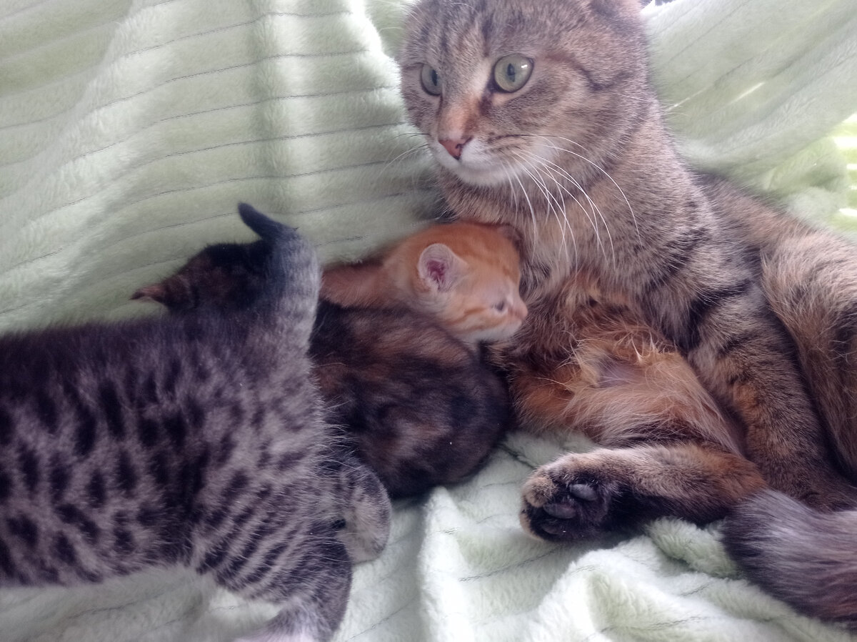 Вот она. Зовут ее Милка. 