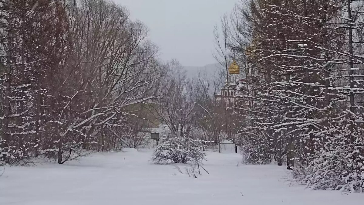     Арбитражный суд Красноярского края отказал Красноярскому научному центру СО РАН в требовании снять статус особо охраняемой территории с дендрария в Академгородке, который хотели застроить жильем.