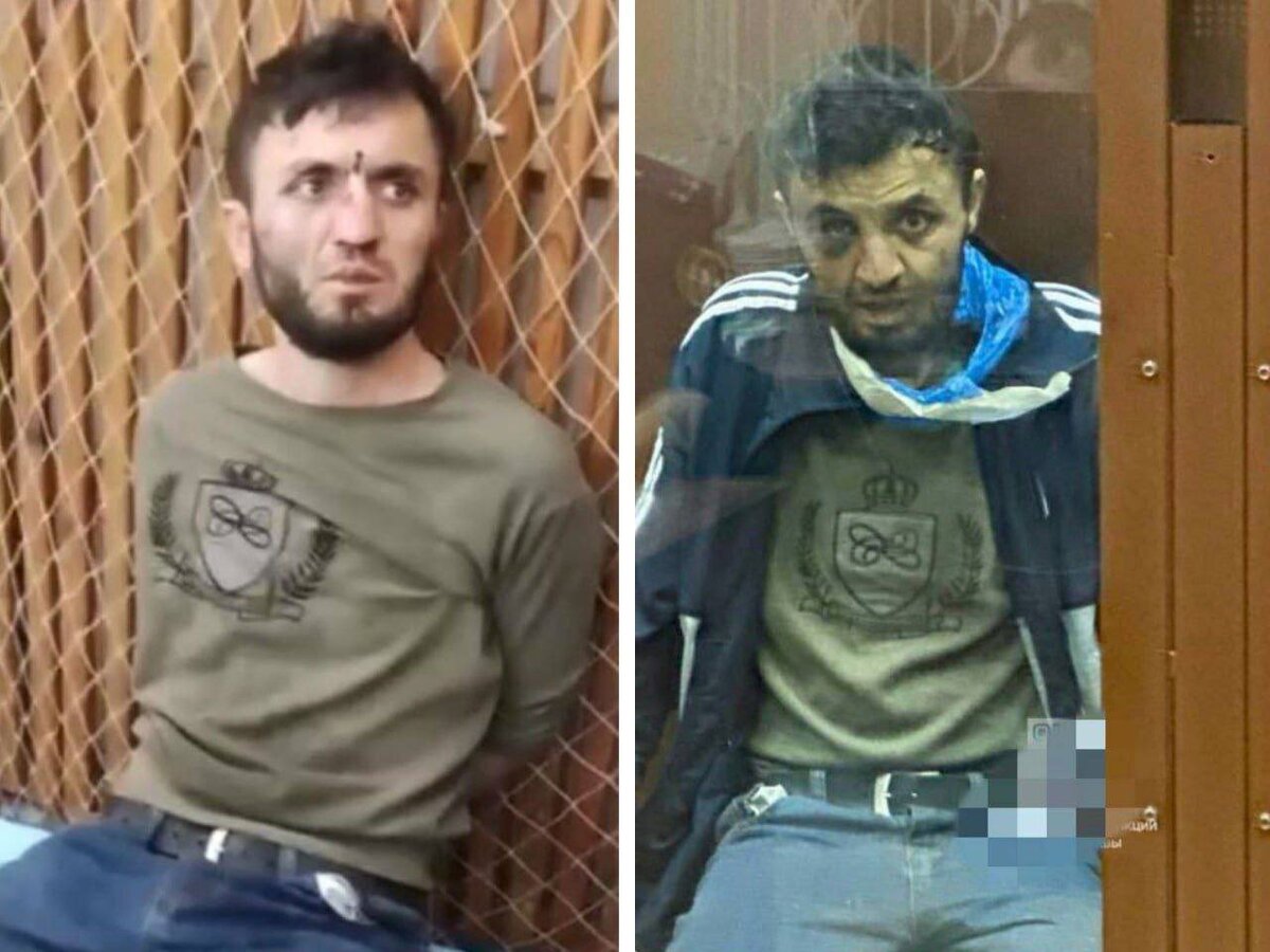 Статья 205 уголовного кодекса. Сколько лет дают за терроризм. Терроризма в россииствтистика. Террористический акт ст 205. Ст 205 ук рф.