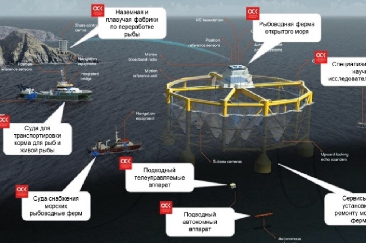    На Камчатке хотят создать рыбоводные фермы открытого моря