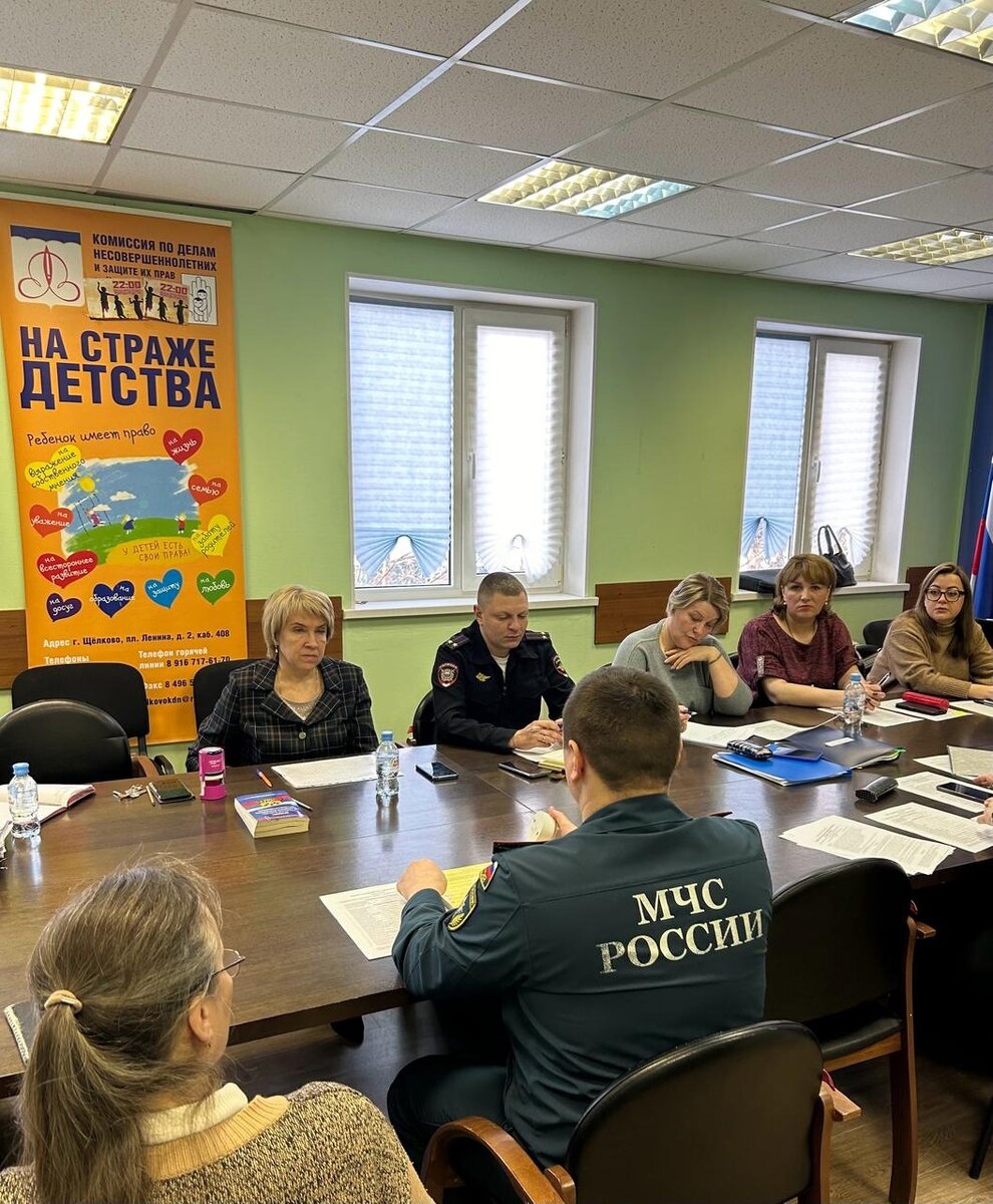 КДН Щелково из открытых источников