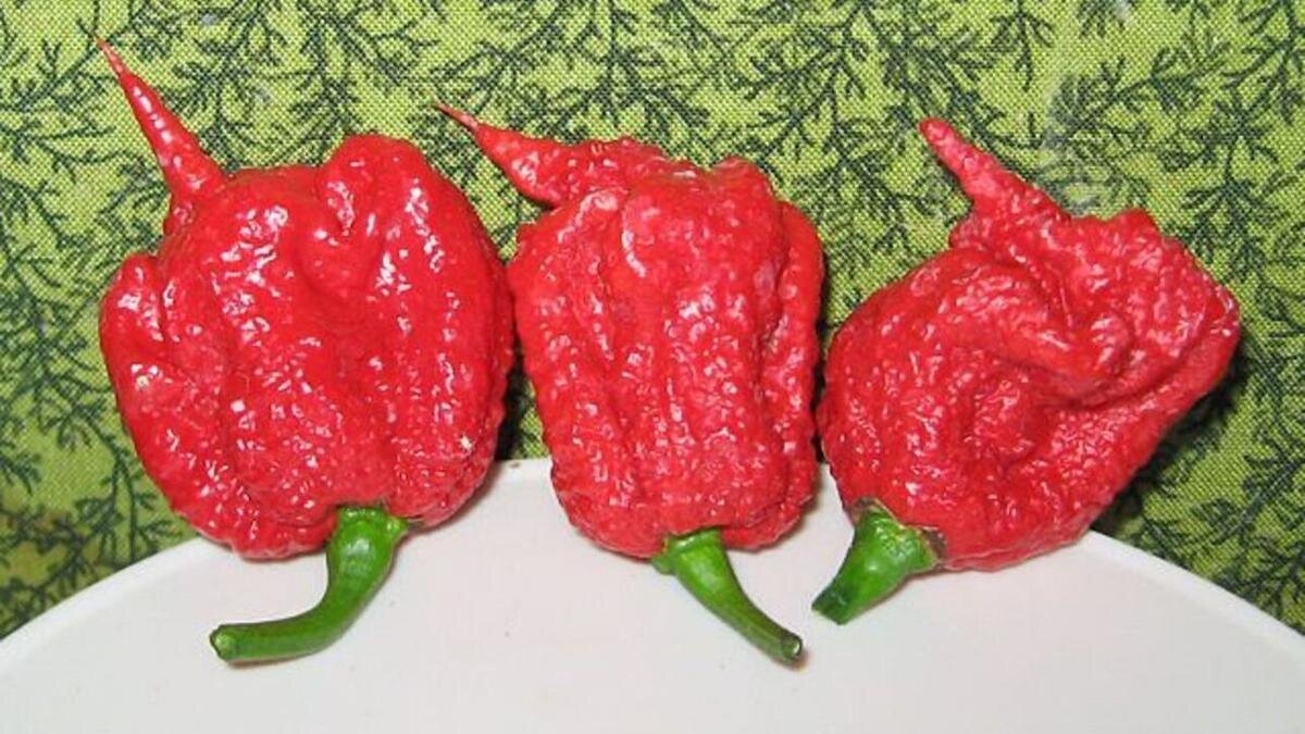 Как называется красный перец. Как называется красный перец