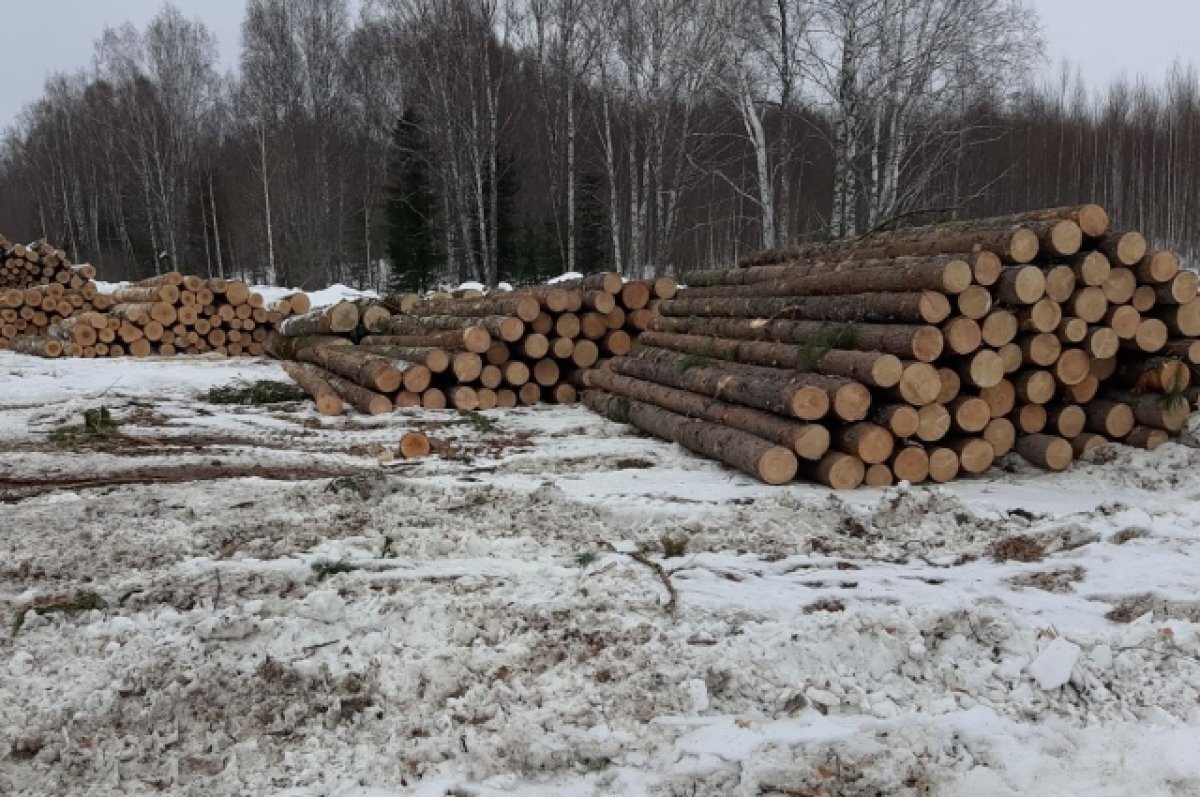    Перекрытие полезной площади более 5 тыс. кв.м обнаружили в Томской области