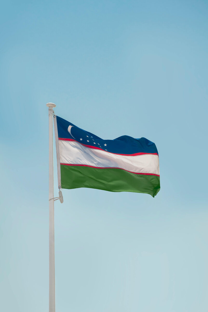 Фотограф: aboodi vesakaran: https://www.pexels.com/ru-ru/photo/13940761/