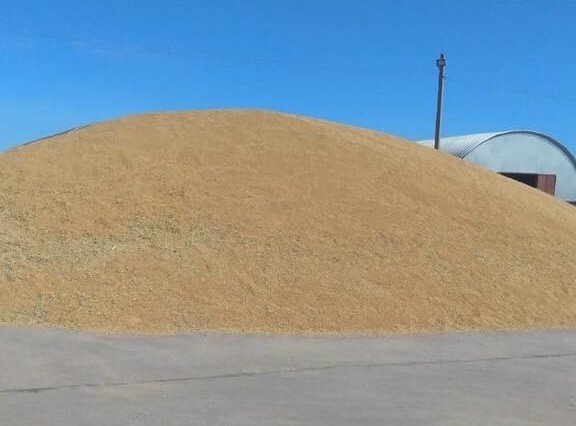 фото: Э.Двуреченский