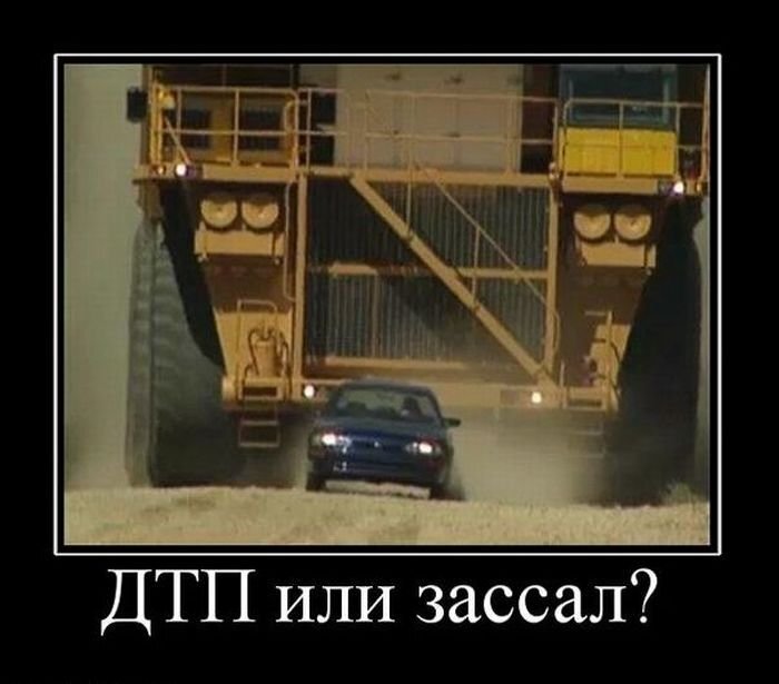 Фото: www.kartinkof.club