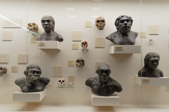    Фото: Александр Вдовенко