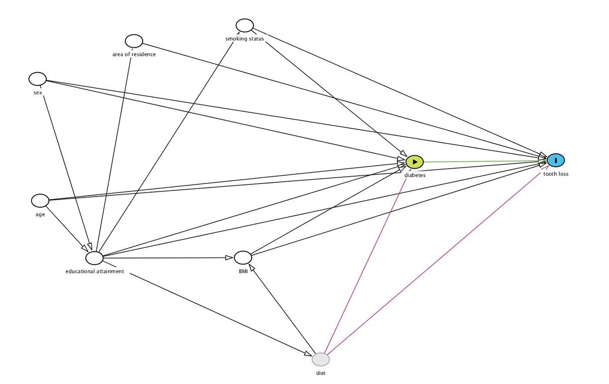Figure S1 Directed Acyclic Graph (DAG) for the association of diabetes with tooth loss using DAGitty