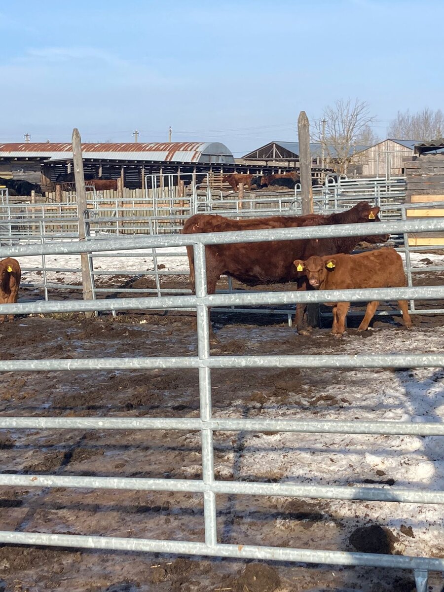 Фотография Александра Трущенкова