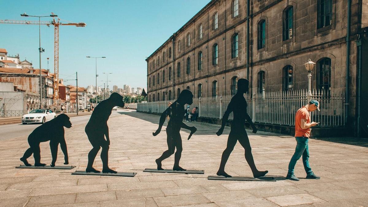    Шеренга человека и его предков:Unsplash/Eugene Zhyvchik