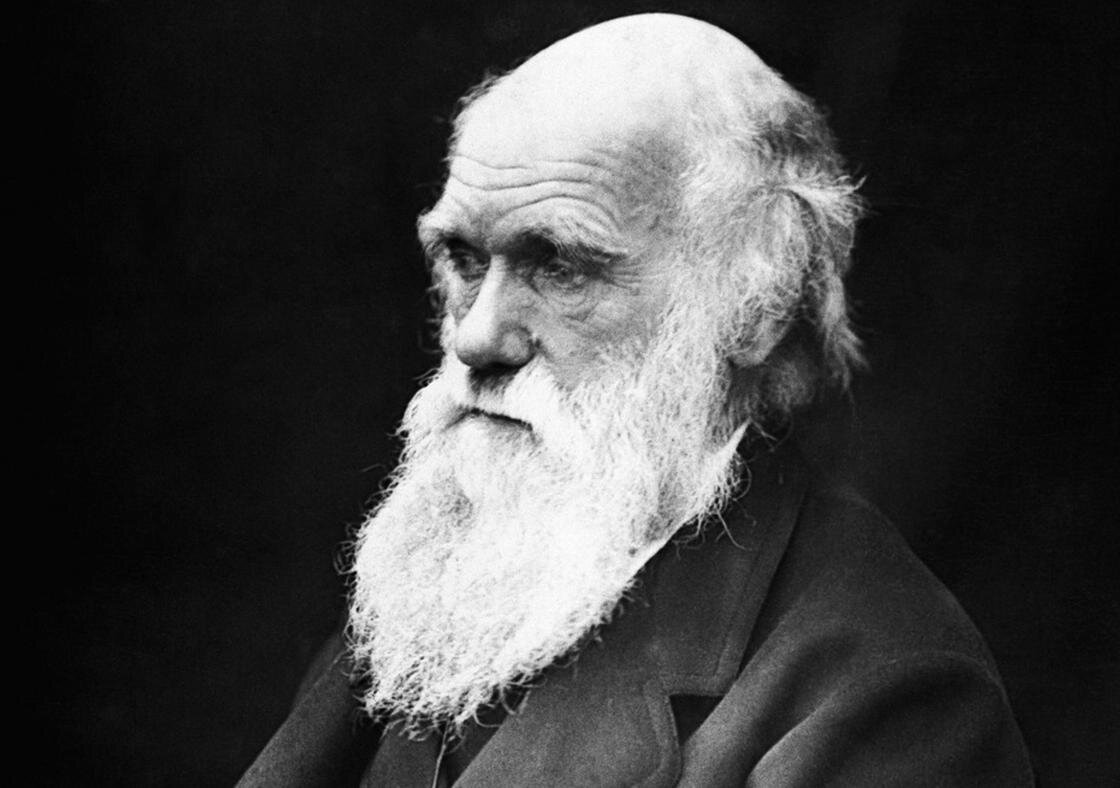    Чарльз Дарвин:Pixabay
