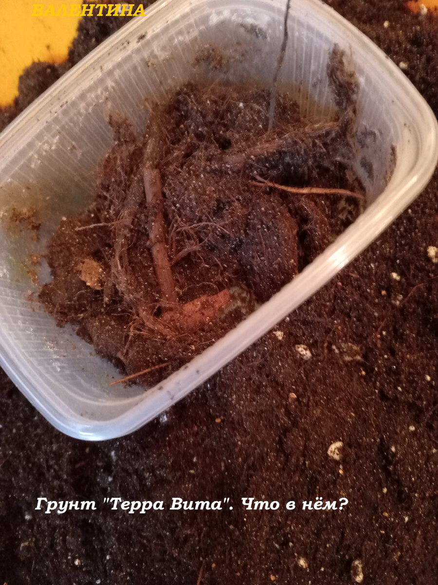 Так выглядит грунт для перевалки рассады перцев.