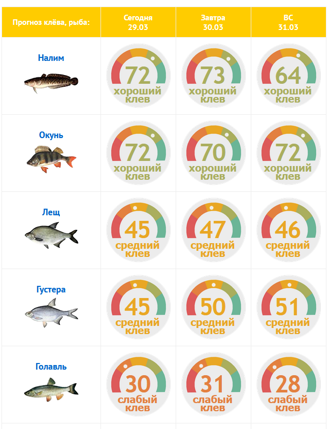 Рыбы на завтра 2023. Прогноз клева. Клев рыбы. Прогноз клёва рыбы на завтра. Хорошего клева.