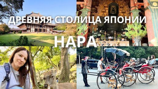 Древняя столица Японии Нара. Парк Нара и храм Тодайдзи.