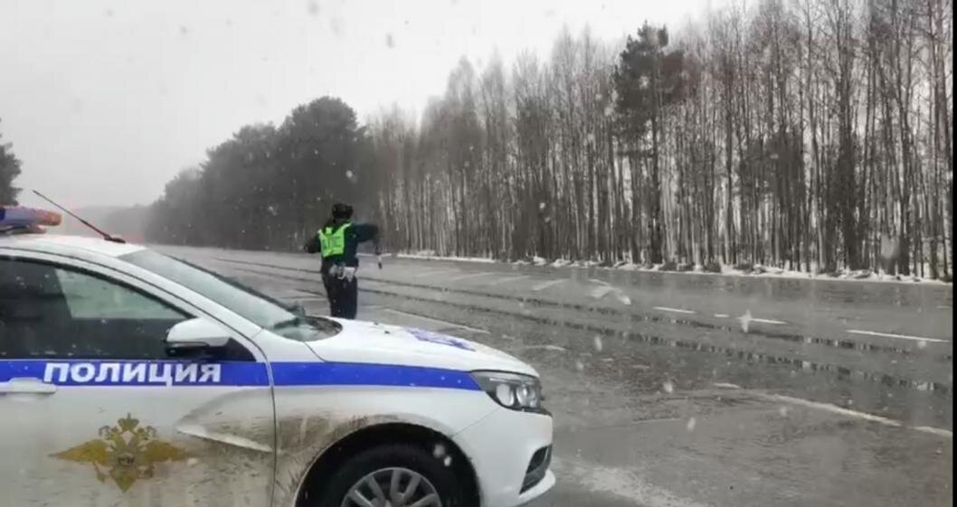 Фото: скриншот видео ГИБДД Тюменской области