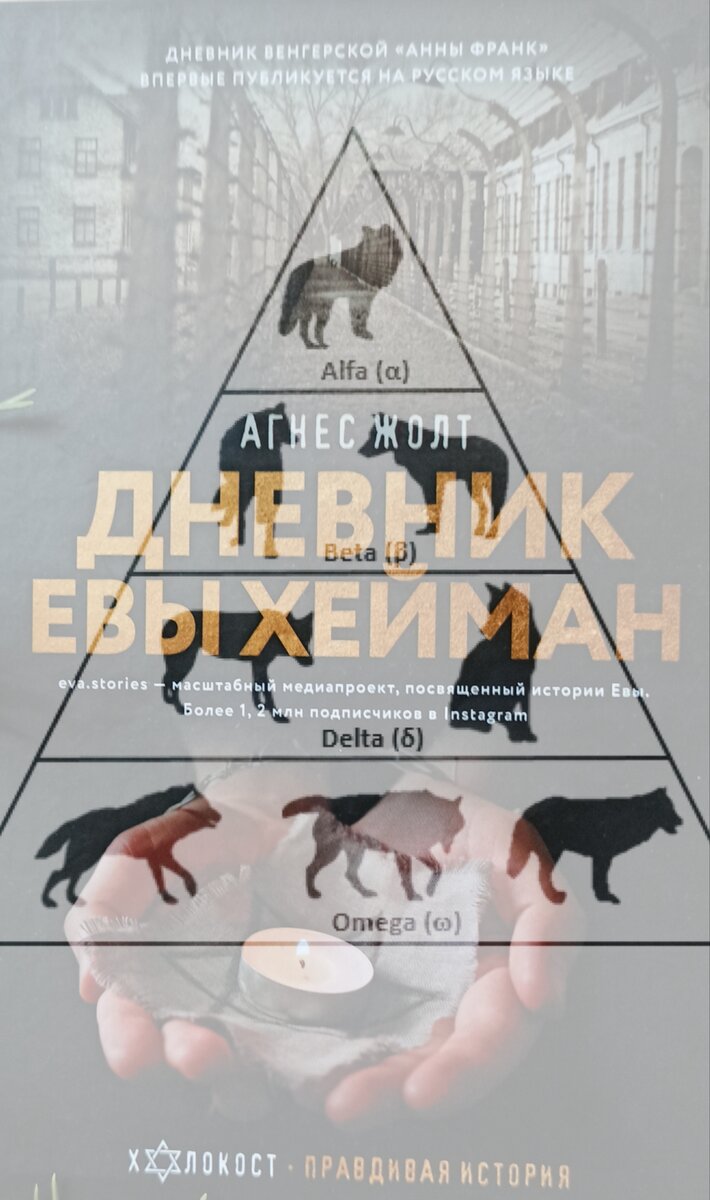 фото автора канала #читательскиезаметки#холокост#защита#животных#история#нацизм