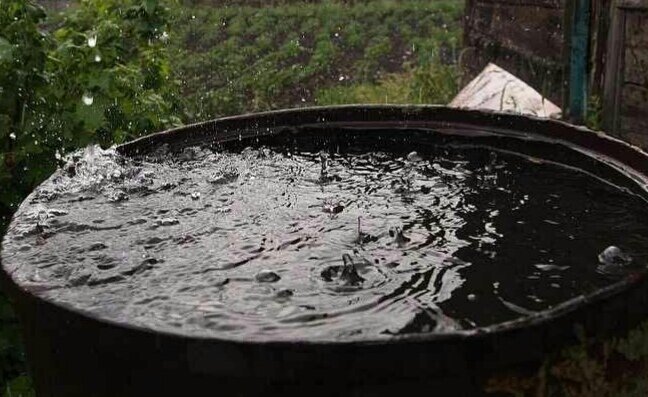 Дождевую воду собирать нельзя!