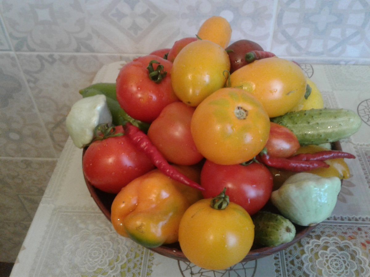 Немного урожайного фото