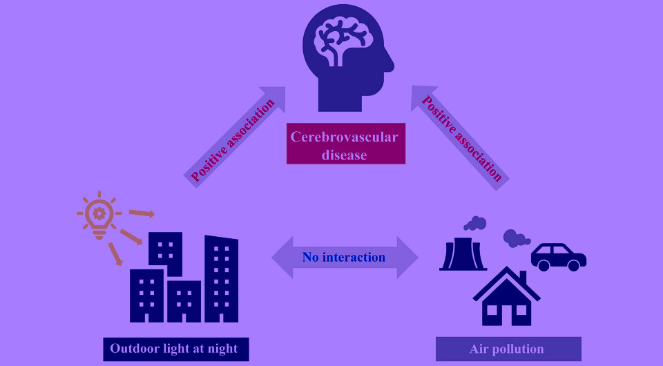   N + 1; Yonghao Wu et al. / Stroke, 2024