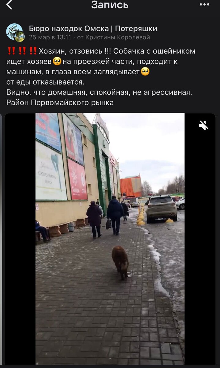 Вот это обьявление долго "гугяло" по просторам интернета