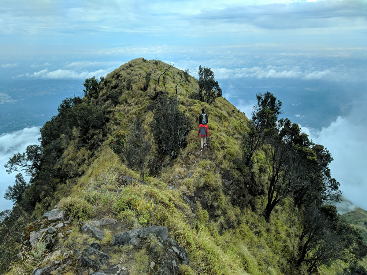 Картинка с бесплатного фотостока https://unsplash.com, автор Ugiik