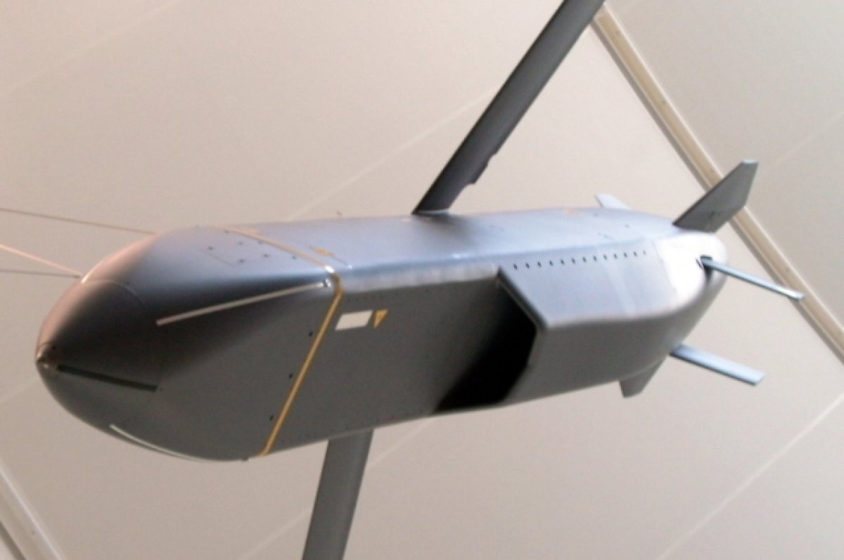    Брянский эксперт Сергей Горелов оценил видео демонтажа ракеты Storm Shadow