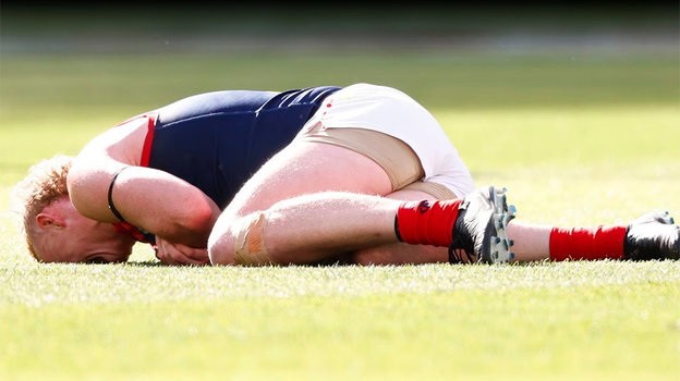    melbournefc.com.au