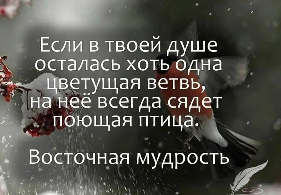 Какое 1 качество сильно ограничивает нашу душу? - Ответ в цитате Поля  Валери | Мудрая Тереза | Дзен