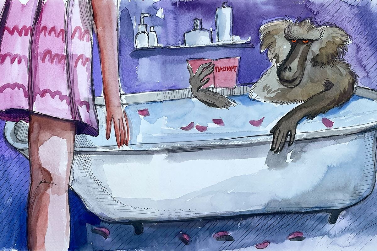 Обложка: © Шура Мура