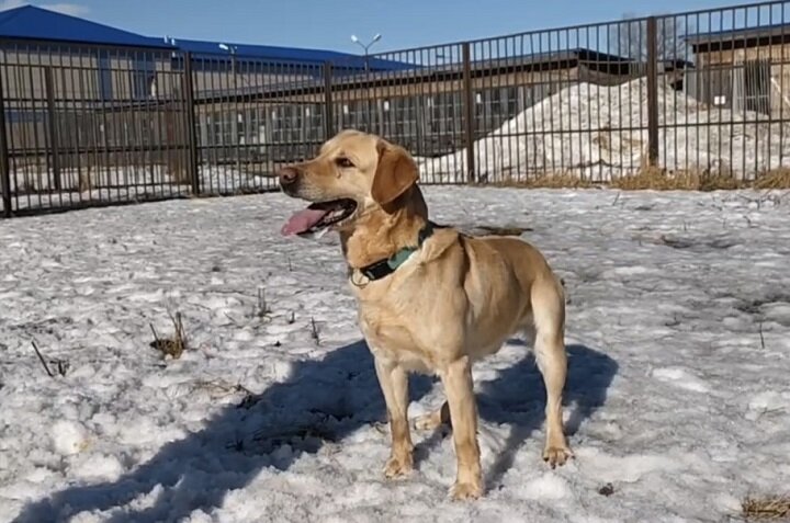 ФОТО: УМВД по Ярославской области