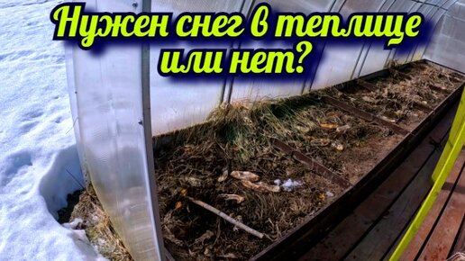 Снег в теплице нужен или нет и в каком количестве