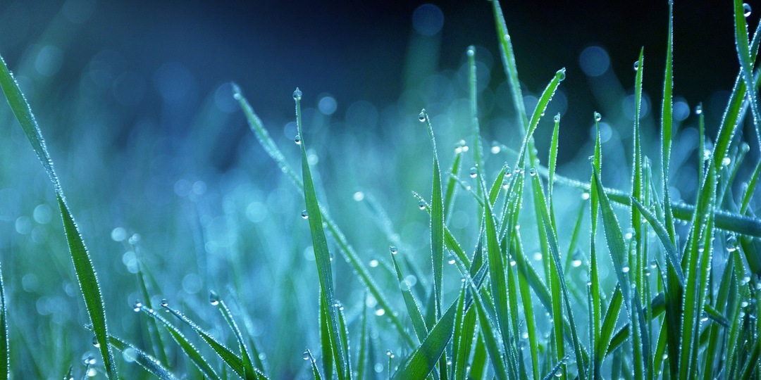 Беременность и ВИЧ