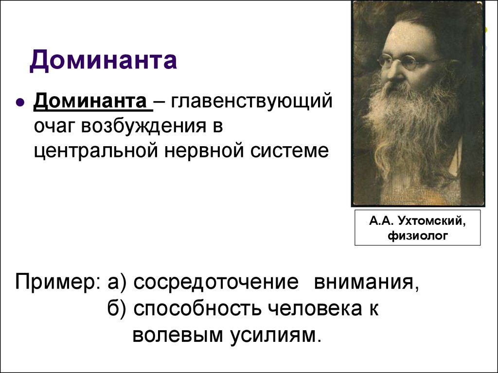 Статья: Термин Доминанта в нейропсихологии. Роль в жизни человека | Сайт  психологов b17.ru | Дзен