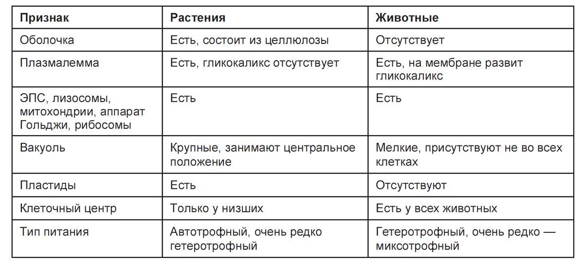 Сравнительная характеристика растительной и животной клетки