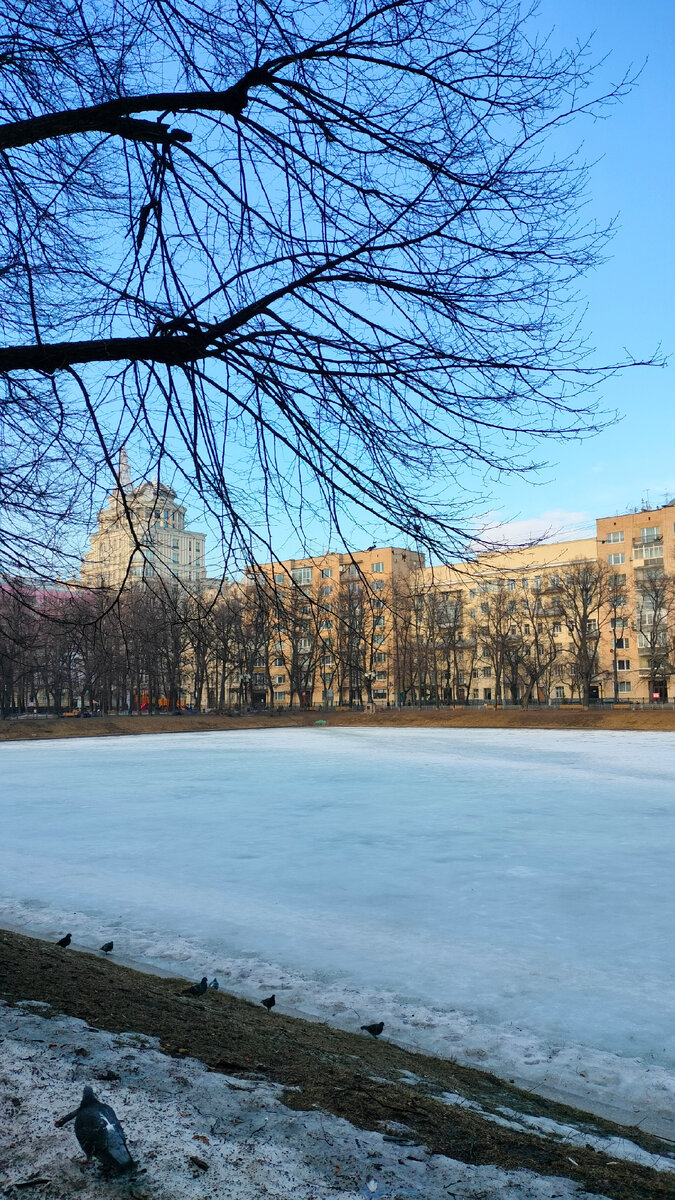 Сколько хожу вокруг пруда, ни одной русалки пока не встретила. Наверное, нужна морская вода. Фото автора.