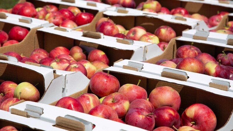      Фото: ИА «Победа26»