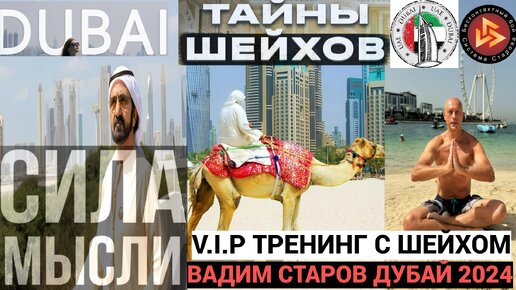 Тайны Шейхов Дубай. Вадим Старов V.I.P тренинг с шейхом курс Сила Мысли. ОАЭ 2024 отдых, путешествие, саморазвитие, самозащита и Бесконтакт