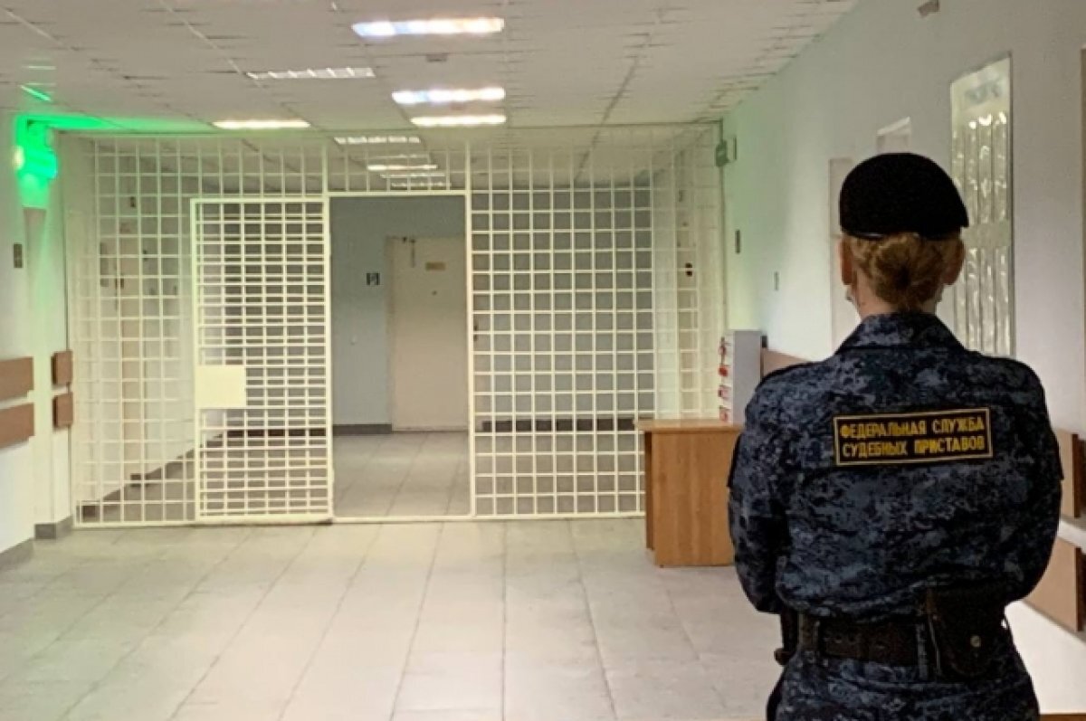    За призыв повторить теракт в Петербурге иностранца заключили под стражу