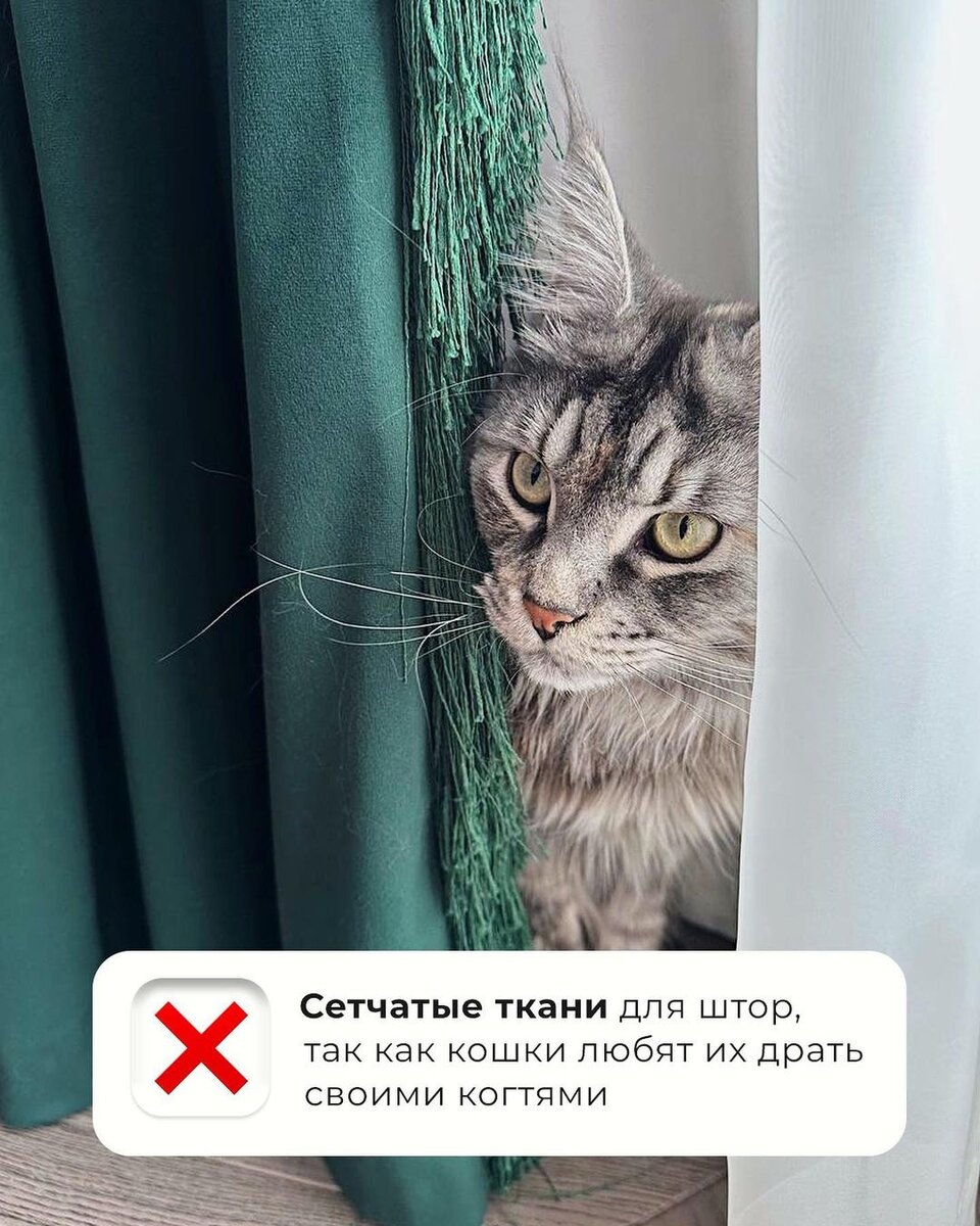 Шторы, которые не боятся кошек и собак 🐈 | Стильные-Текстильные | Дзен