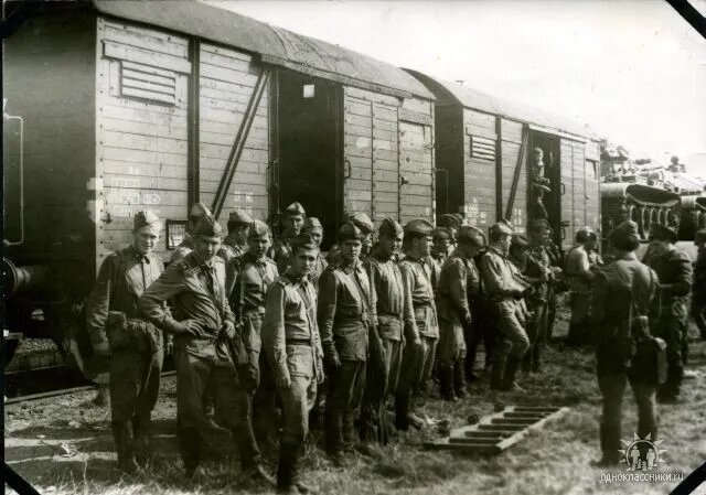 фото автора...