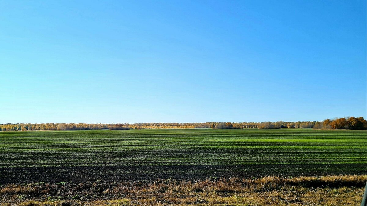 Весь маршрут из Волгограда в Астрахань за окном вашего авто будут пейзажи Прикаспийской низменности. Фото: Мария Х. / Яндекс Карты 