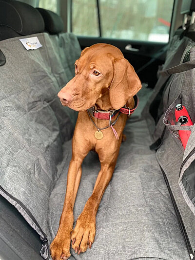 Автогамак для собак Хвостатый Пассажир