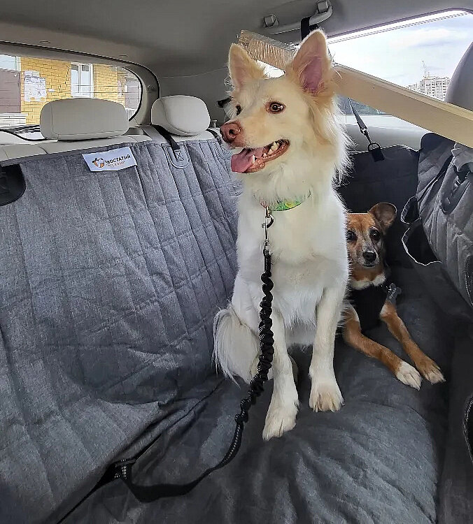 Автогамак для собак Хвостатый Пассажир