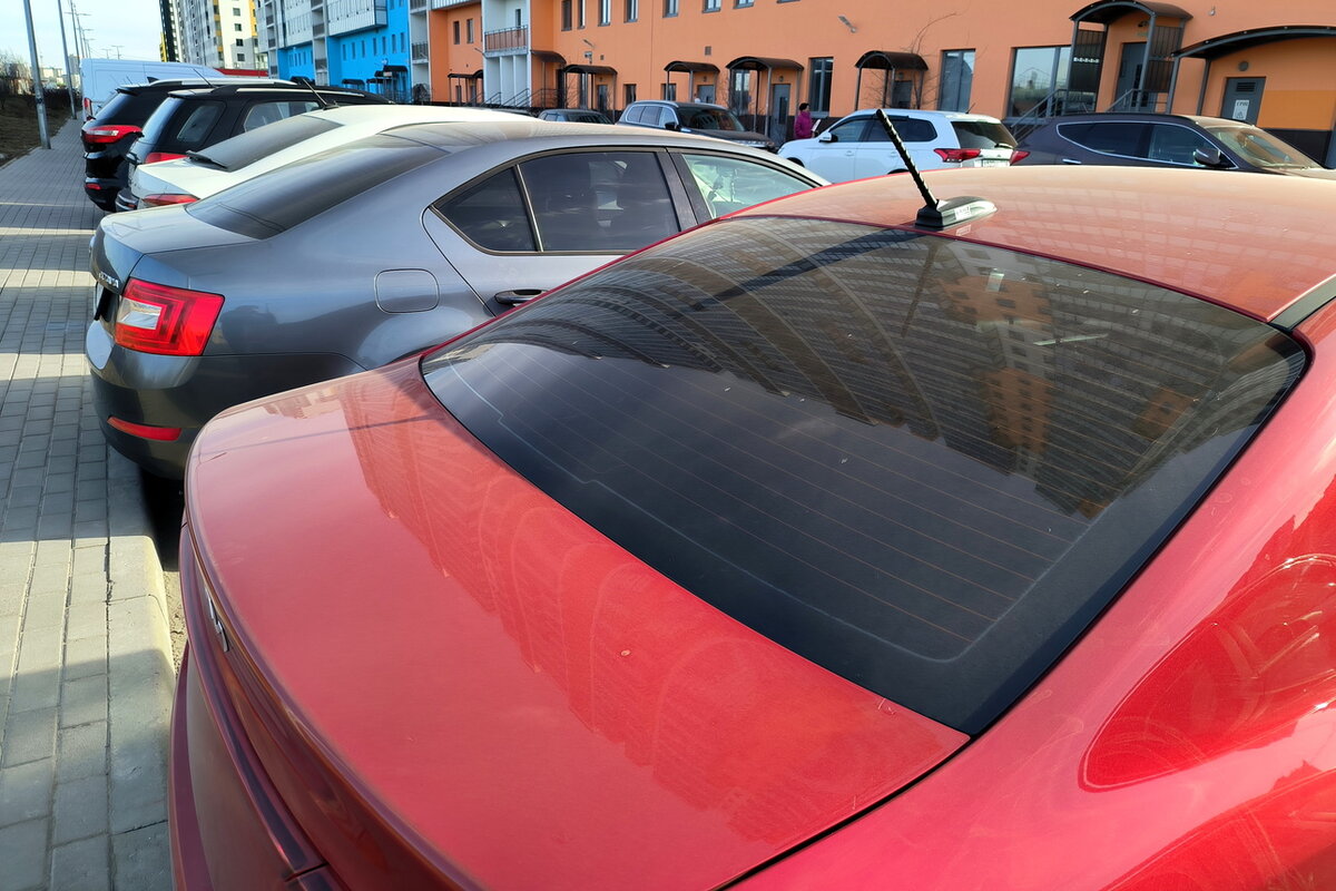     Фото: globallookpress.com