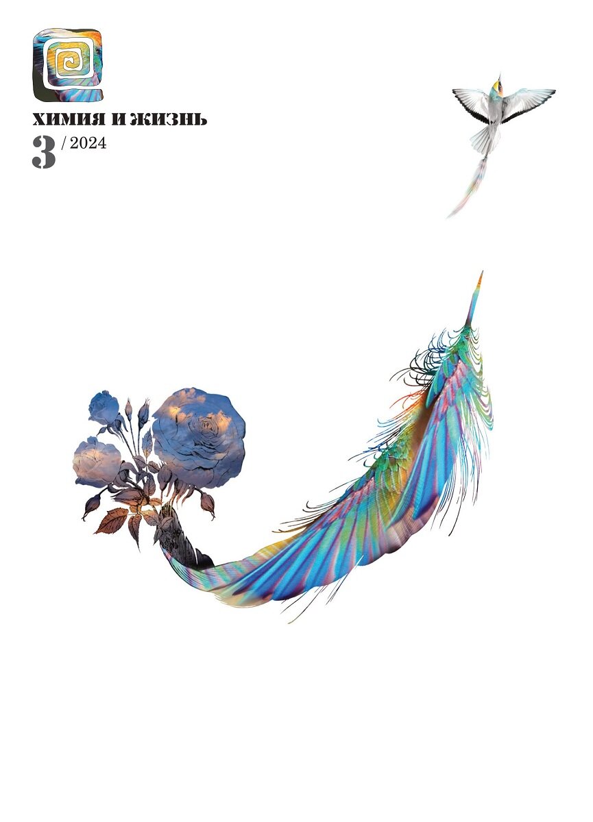 Дизайн обложки: Александр Кук