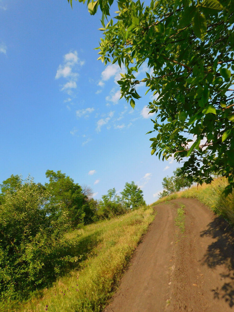 Фото автора канала